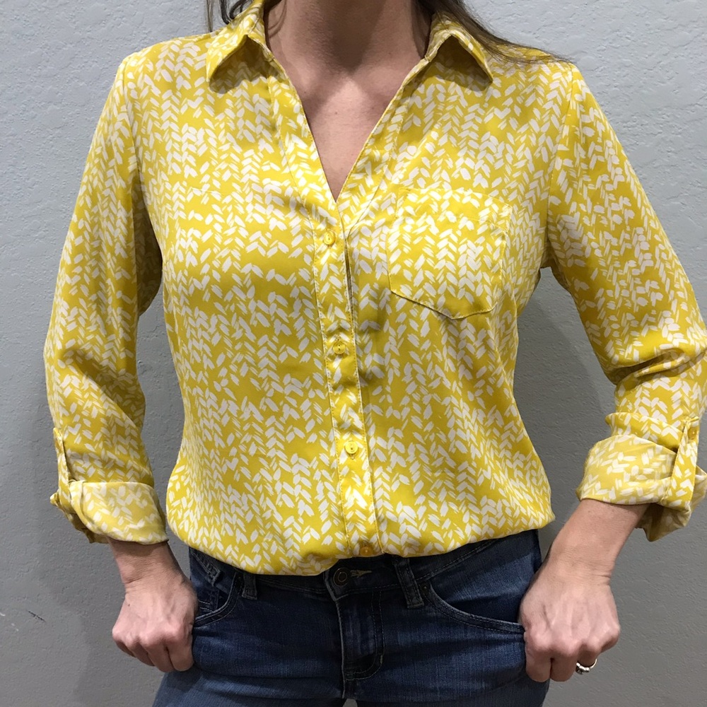 The Limited blouse